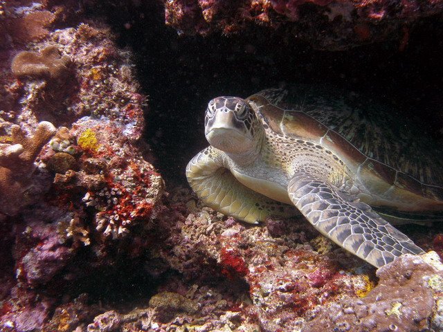 Photograph