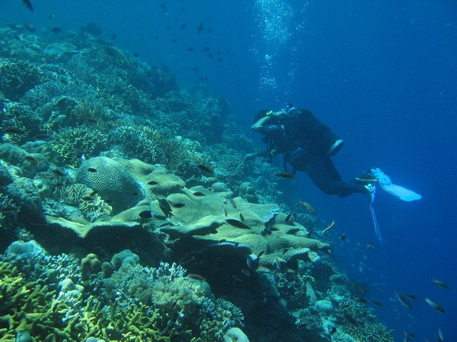 Photograph