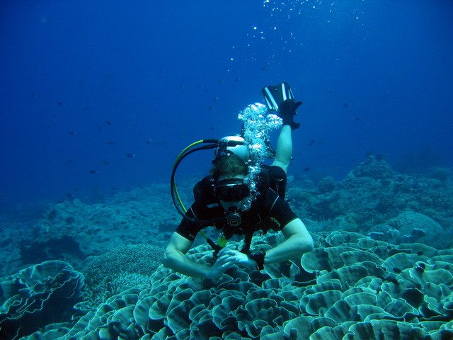 Photograph