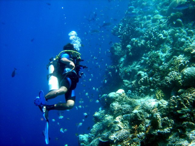 Photograph