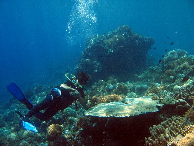 Photograph