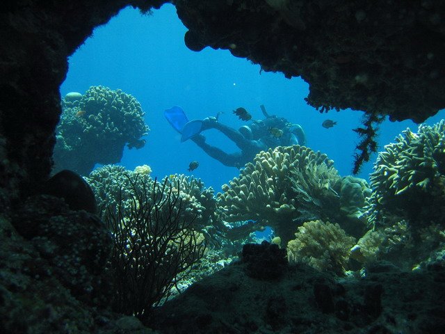 Photograph