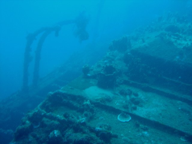 Photograph