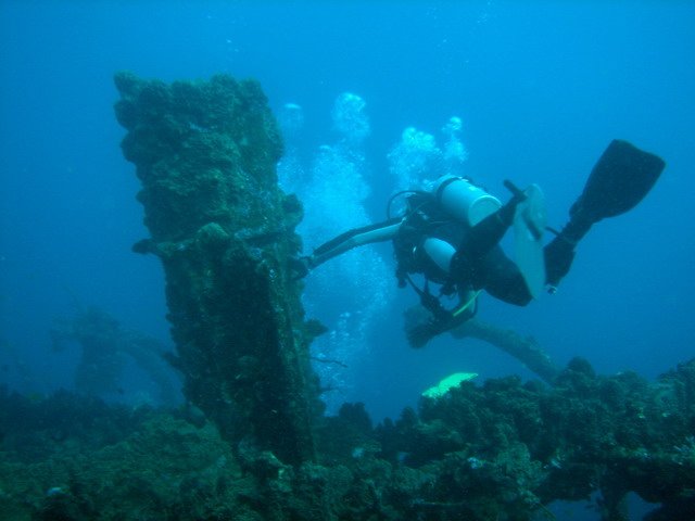 Photograph