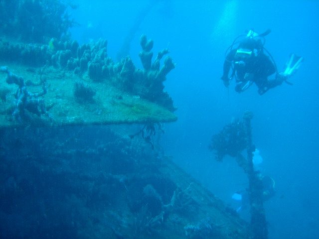 Photograph