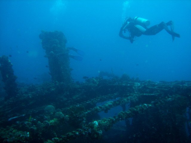 Photograph